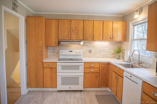 kitchen with a sink, light wood-style floors, under cabinet range hood, and white appliances