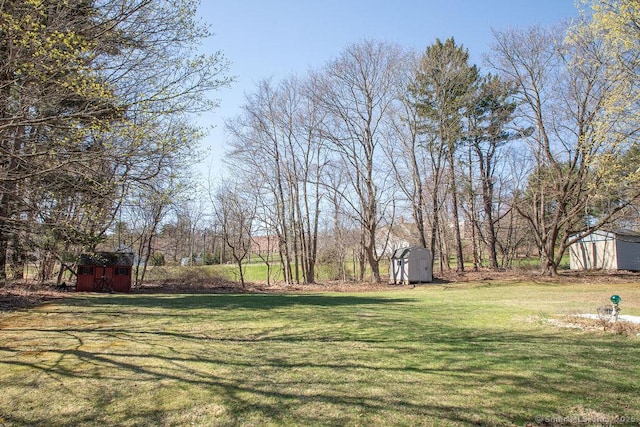 view of yard with an outdoor structure and a storage unit