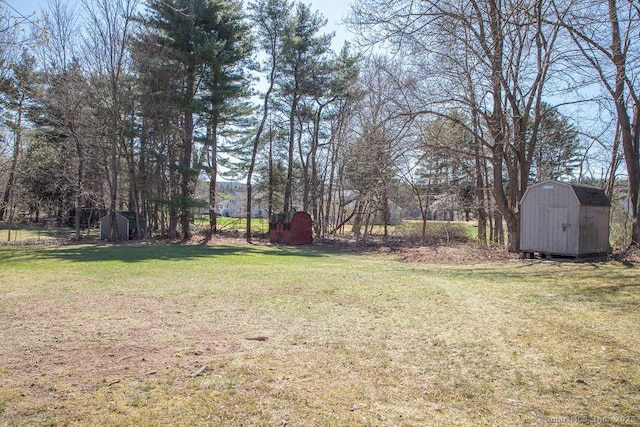 view of yard featuring an outbuilding and a storage unit