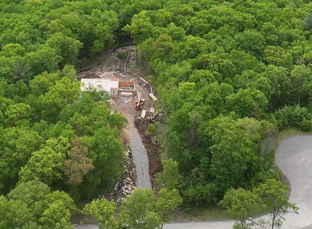 21 Josephine Way, Tolland, CT 06084 - view of subject property featuring a forest