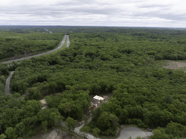 21 Josephine Way, Tolland, CT 06084 - drone / aerial view of a heavily wooded area
