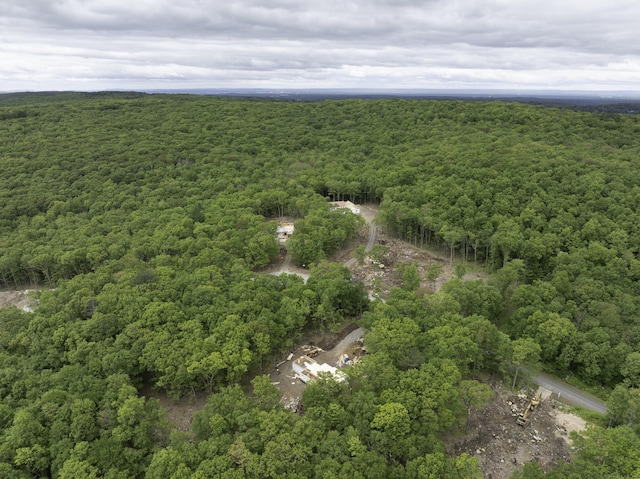 21 Josephine Way, Tolland, CT 06084 - bird's eye view of a heavily wooded area