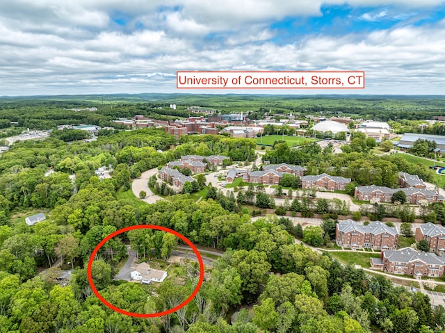 127 Separatist Rd, Mansfield, CT 06268 - bird's eye view of a forest