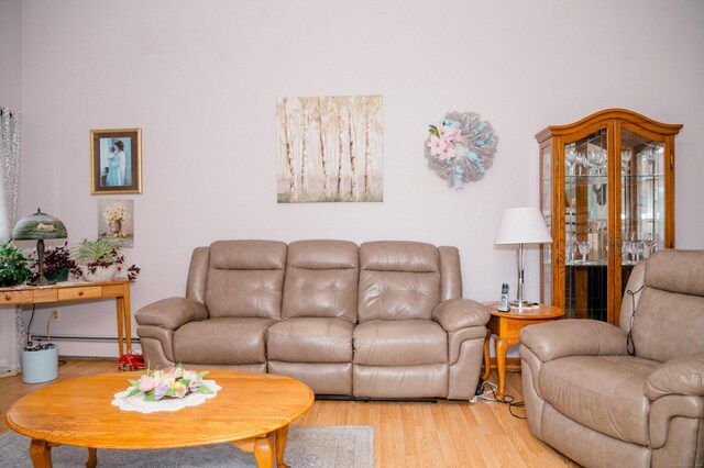 33 Oxford Dr, South Windsor, CT 06074 - living room with light wood-style floors and a baseboard radiator
