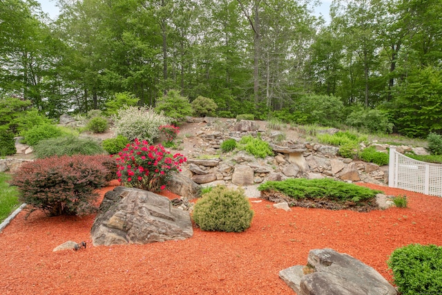 360 New London Tpke, Stonington, CT 06378 - view of yard