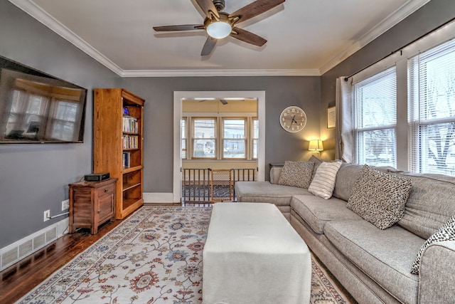 living room featuring crown molding, dark wood-style floors, a wealth of natural light, a ceiling fan, and visible vents