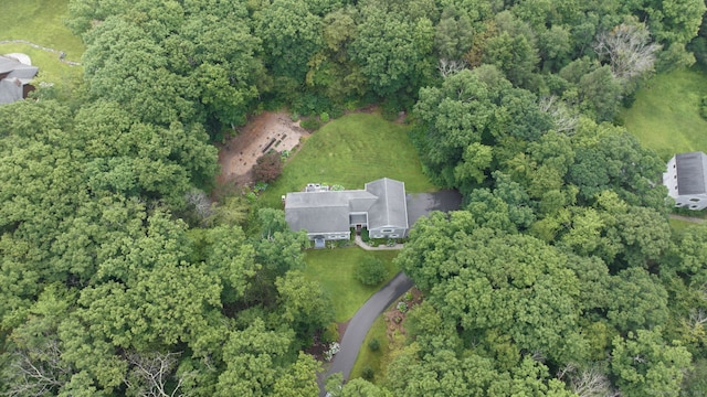 2 Whispering Pines Ln, Goshen, CT 06756 - drone / aerial view