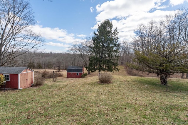 view of yard featuring an outbuilding and a storage shed