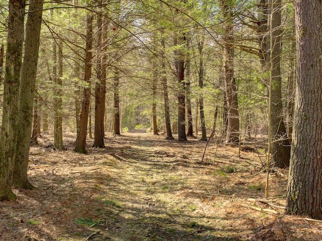 view of nature featuring a view of trees