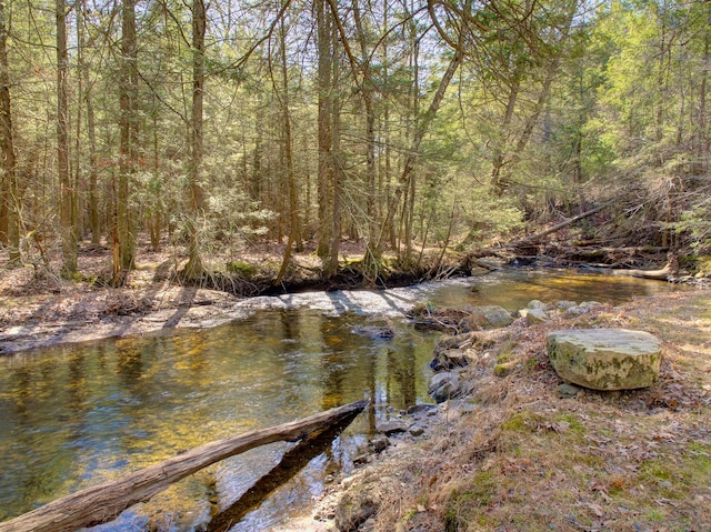 water view with a forest view