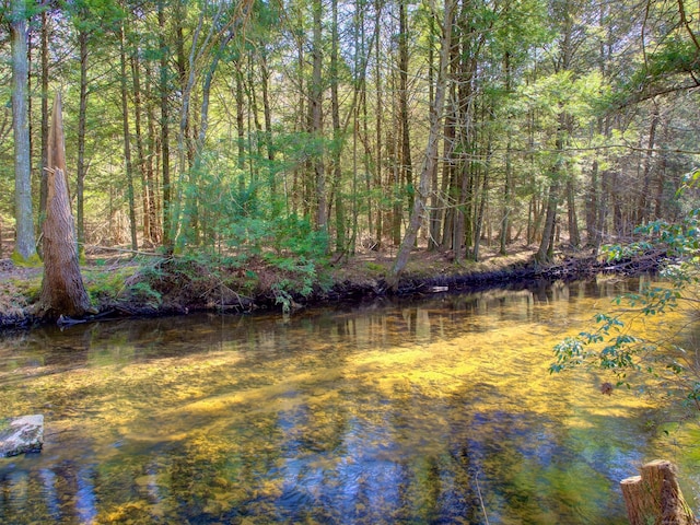 view of water feature