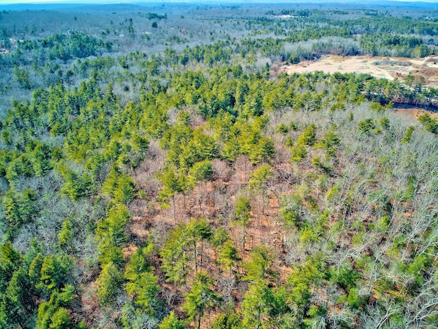 aerial view with a forest view