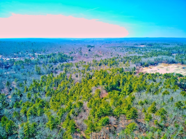 drone / aerial view featuring a wooded view