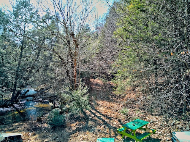 view of local wilderness