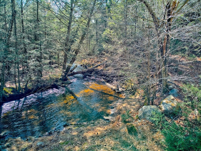view of local wilderness