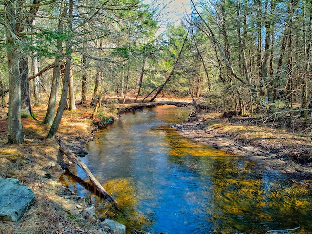 view of water feature