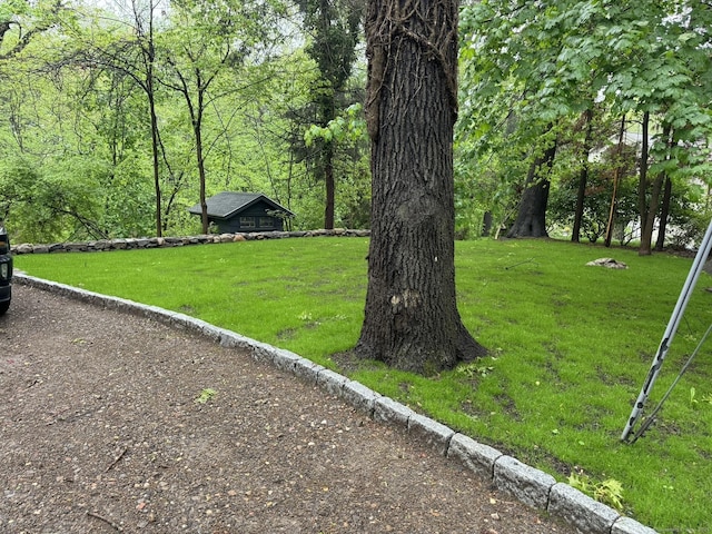 3 Topping Ln, Norwalk, CT 06854 - view of green lawn