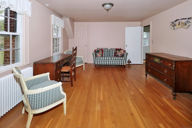 interior space featuring radiator heating unit, a wealth of natural light, and wood finished floors