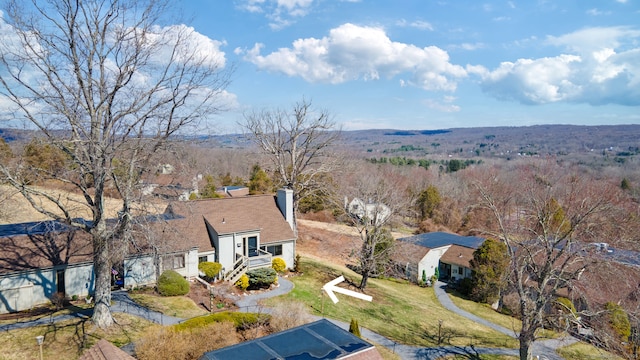 bird's eye view