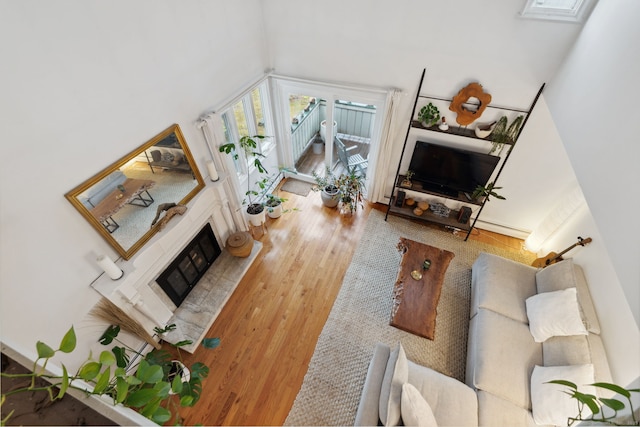 8 Lyle Ct Unit J, Farmington, CT 06032 - living room with wood finished floors, a towering ceiling, a baseboard radiator, and a fireplace with raised hearth