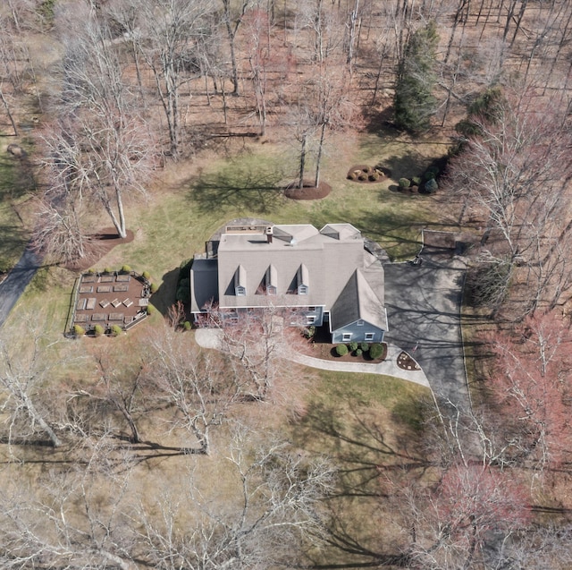 drone / aerial view