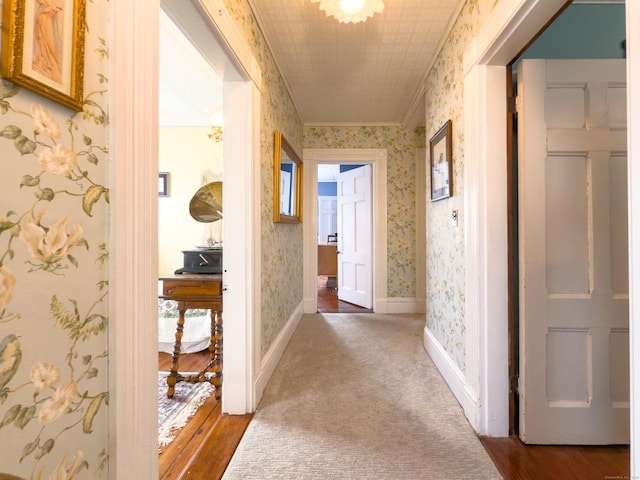 1063 Main St, South Windsor, CT 06074 - corridor with wallpapered walls, crown molding, dark colored carpet, and dark wood finished floors
