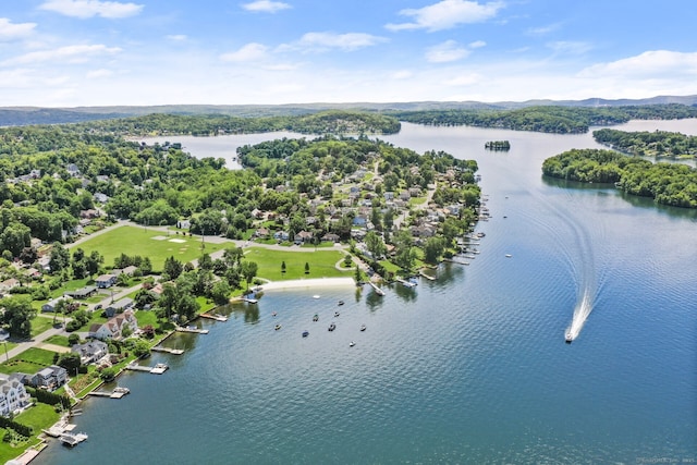 114 N Lake Shore Dr, Brookfield, CT 06804 - photo 8