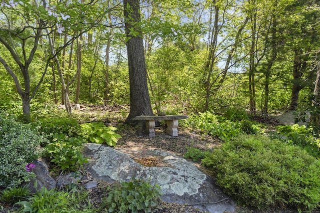 169 High Meadow Ln, Groton, CT 06355 - view of yard