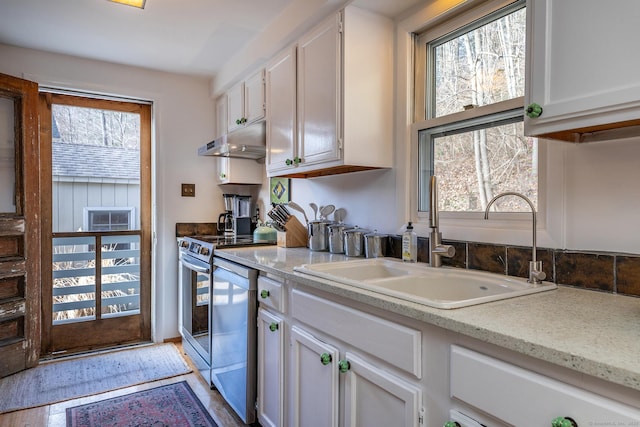 15 Echo St, Salisbury, CT 06068 - kitchen featuring a sink, under cabinet range hood, appliances with stainless steel finishes, and white cabinets