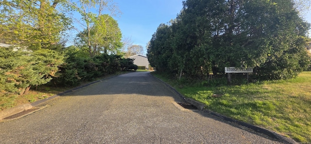 view of road with curbs and aphalt driveway