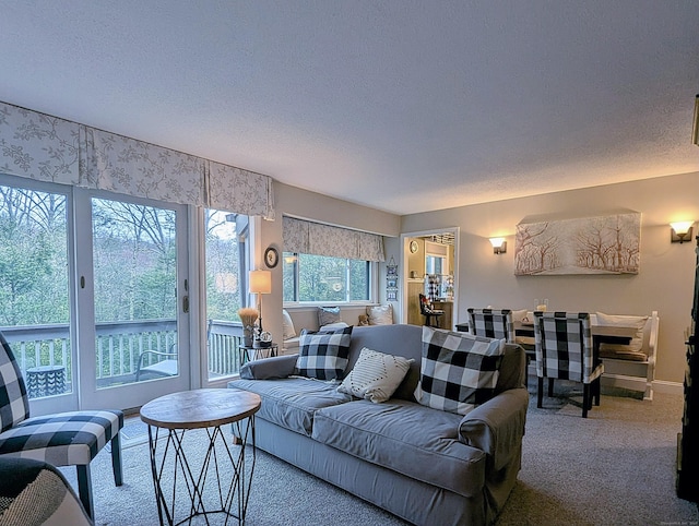 374 Heritage Vlg Unit C, Southbury, CT 06488 - carpeted living room with a textured ceiling