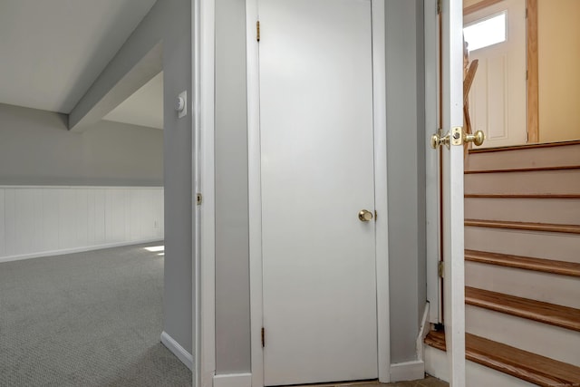 stairs featuring a wainscoted wall and carpet flooring
