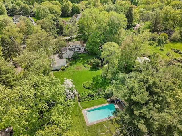 167 Skunk Ln, Wilton, CT 06897 - bird's eye view of a pool area and a forest