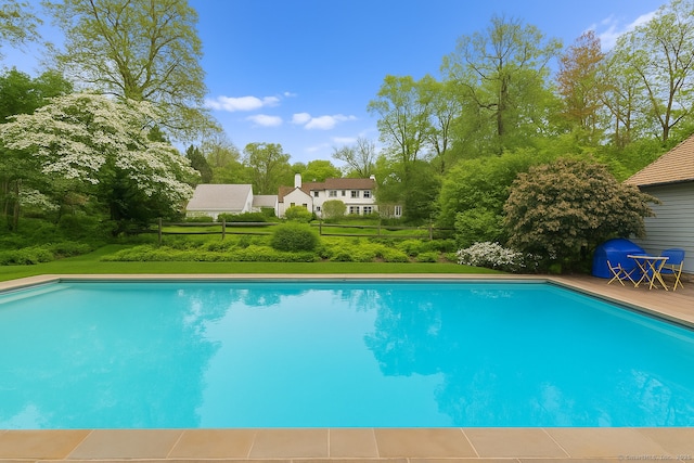 167 Skunk Ln, Wilton, CT 06897 - swimming pool with view of scattered trees and a yard