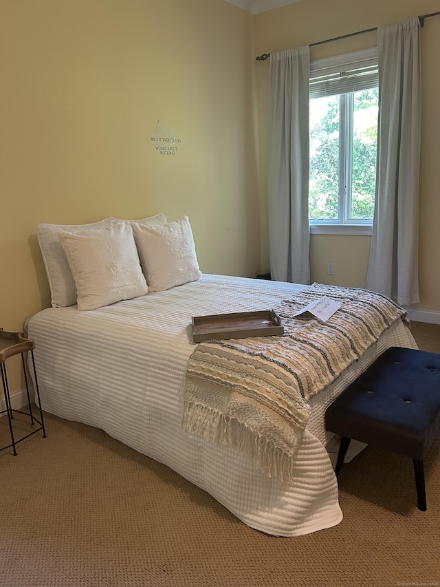 21 Autumn Cir, Rocky Hill, CT 06067 - bedroom featuring baseboards and light colored carpet