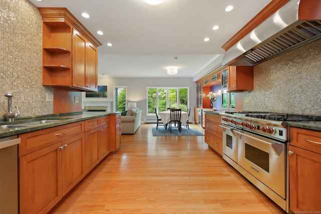 kitchen featuring stainless steel appliances, a sink, exhaust hood, open shelves, and decorative backsplash