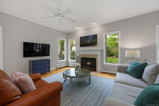 living area featuring a baseboard radiator, wood finished floors, a high end fireplace, ornamental molding, and baseboards