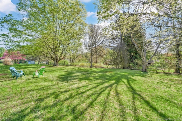 view of yard
