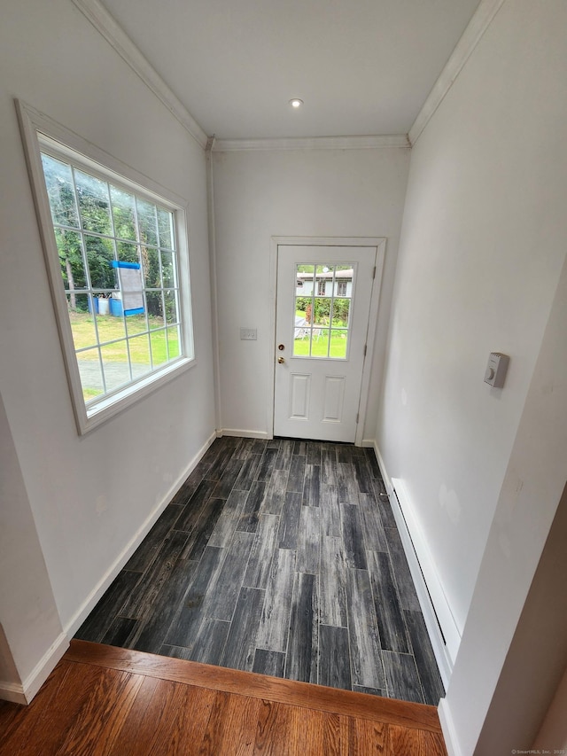 154 Falls Rd, East Haddam, CT 06469 - doorway to outside with a baseboard heating unit, crown molding, and dark wood finished floors
