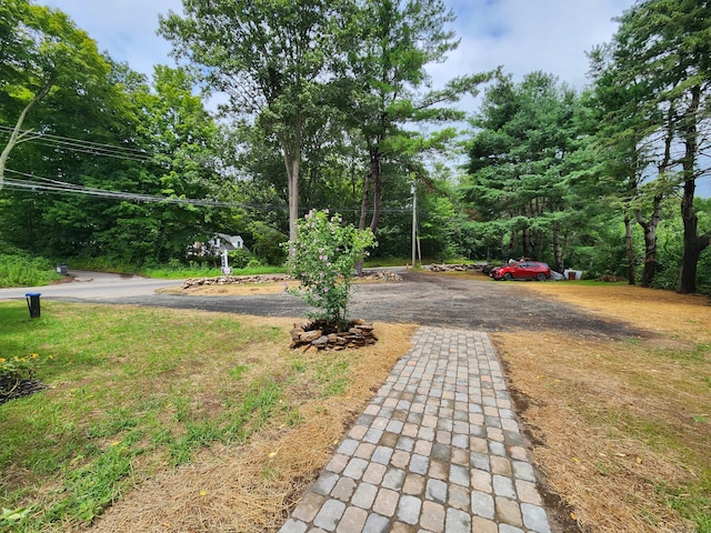 154 Falls Rd, East Haddam, CT 06469 - photo 37