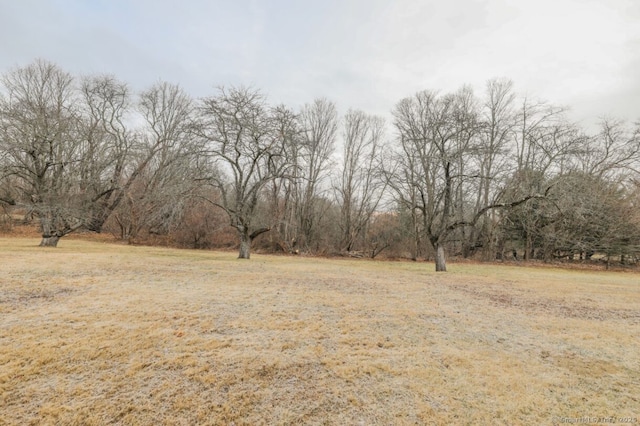 1900 Litchfield Rd, Watertown, CT 06795 - view of yard