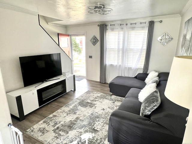 living room featuring crown molding and wood finished floors