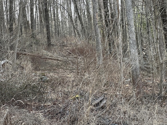 00 Torrington Rd, Litchfield, CT 06759