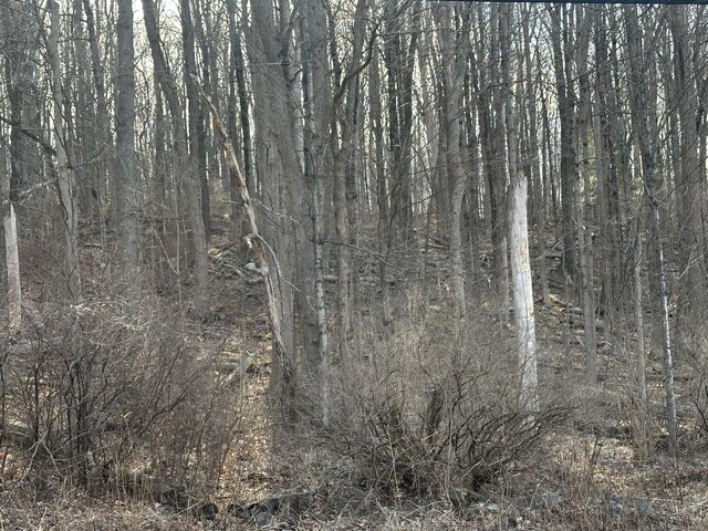 00 Torrington Rd, Litchfield, CT 06759