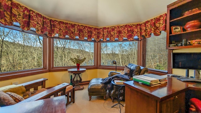 224 Tepi Dr, Southbury, CT 06488 - interior space with carpet floors and plenty of natural light