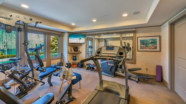 224 Tepi Dr, Southbury, CT 06488 - exercise area with recessed lighting and carpet floors