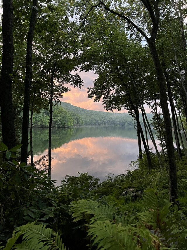 224 Tepi Dr, Southbury, CT 06488 - property view of water