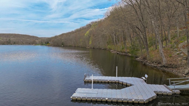 224 Tepi Dr, Southbury, CT 06488 - dock area featuring a water view and a forest view