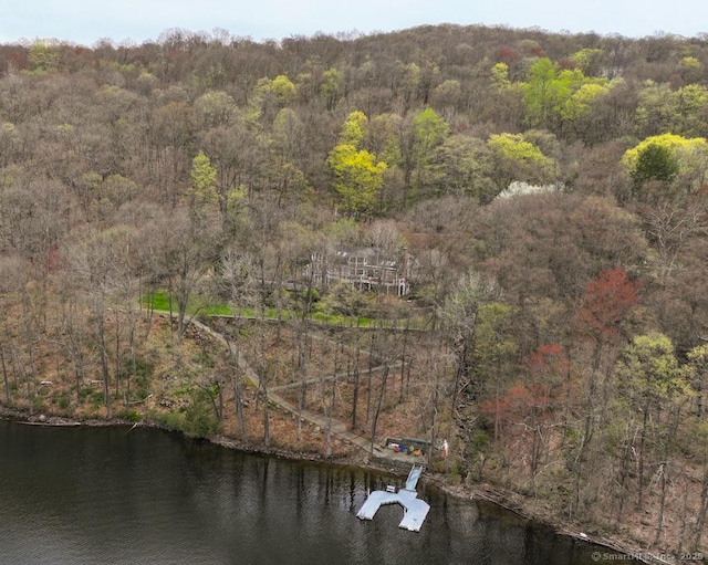 224 Tepi Dr, Southbury, CT 06488 - drone / aerial view with a water view and a view of trees