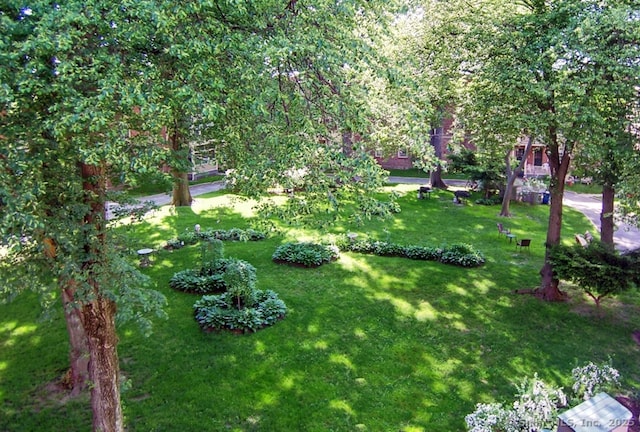 2811 Fairfield Ave Unit 1, Bridgeport, CT 06605 - view of grassy yard
